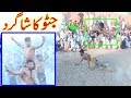 Javed Jattu Ka Shagrid Betara BalocH Vs Yelow Shakira New Super Duper Kabaddi Match