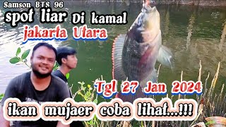 mancing spot liar‼️di Kamal jakarta Utara spot nya ikan mujaer tgl 27 Jan 2024 gratis ...!!!‼️