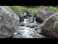 Sungai Mengalir Tiada Hentinya Menuju Lembah Keindahan - Video &amp; Bunyi Suara Sungai Mengalir Tenang