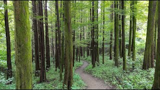 걷기좋은길 옥천 화인산림욕장 4km