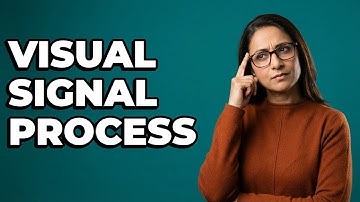 How Does The Ganglion Cell Layer Process Visual Signals?