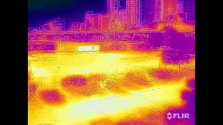 City of Houston Green Roof (Building Permit Center)