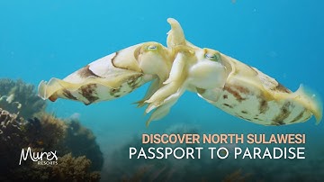 Passport to Paradise - Discover Bunaken, Bangka, and Lembeh in North Sulawesi, Indonesia