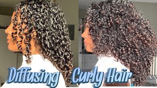 Diffusing 101 | Thick Curly Hair | Do&#39;s and Dont&#39;s + How to Properly Detangle | Pgeeeeee