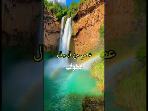 درع الأمان من فتنة الدجال