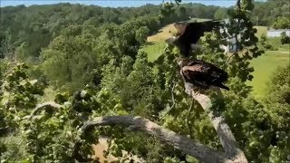 Decorah Eagles- Mom Not Happy With Decorah Male