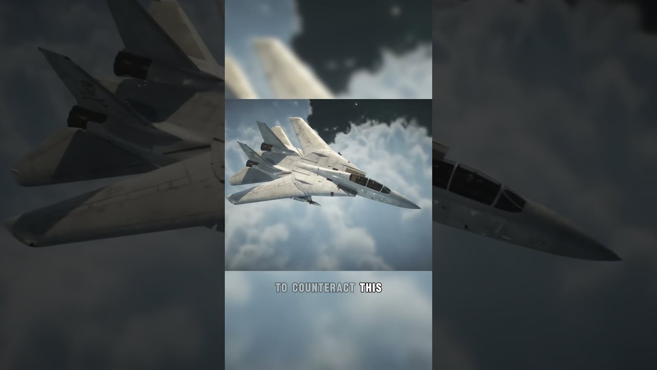 The PROBLEM With F14 Tomcat