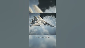The PROBLEM with the F14 tomcat