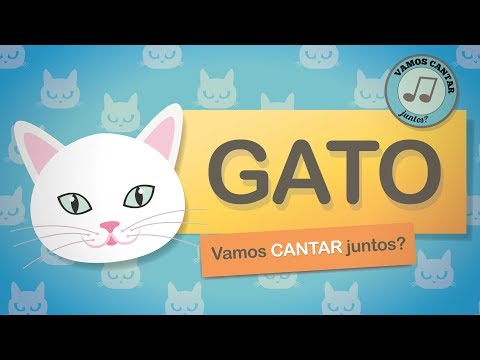 Vídeo: Como conhecer os gatos?