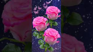 flower status video || Beautiful flower nature status video|| Rose status video screenshot 2