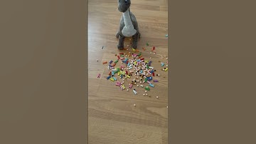 Rewind Pegs and Beads #asmr #satisfying #relaxing #reverse