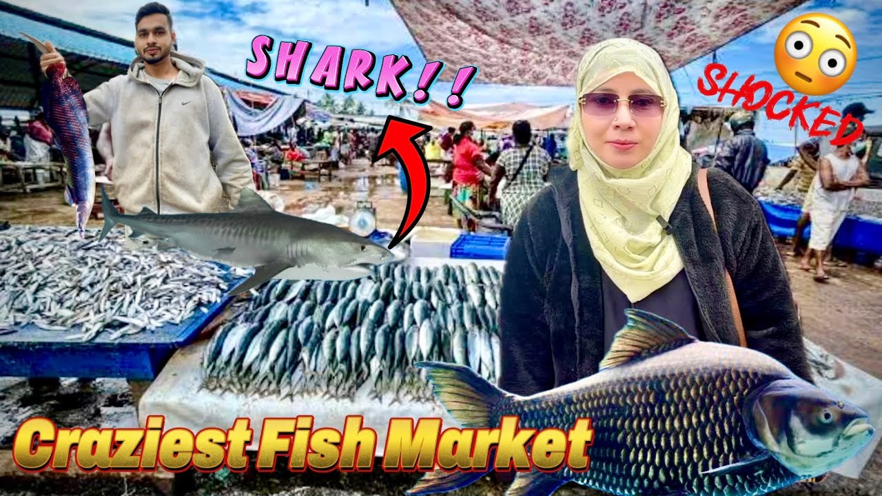 Morning vibes at Russel Market🐠Fresh Fish shopping in Bangalore@Bangalorekiyoutuber 