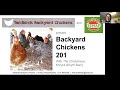 Backyard chickens 201