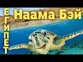 Египет / Бухта Наама Бэй /Naama Bay