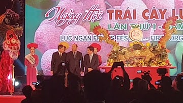 Rực rỡ ngày hội trái cây Lục Ngạn