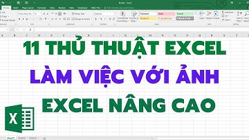 11 Thủ thuật làm việc với ẢNH trong EXCEL cần biết
