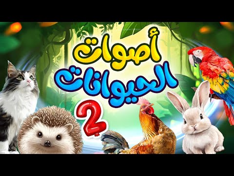 أصوات الحيوانات 2 طيور بيبي Toyor Baby