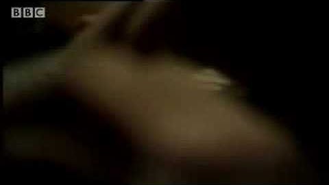 Neutron stars - Death Star - BBC Horizon science