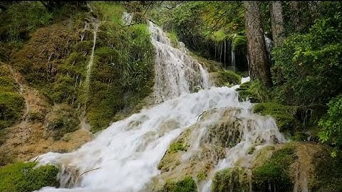 سورة النصر مكتوبة ✏️ برواية ورش عن نافع 🌴💫👍🔔