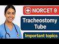 Tracheostomy Tube for NORCET 9 | High Yield Topics 📚