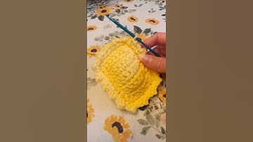 How to Crochet a Ravioli Cat Toy! 🐱