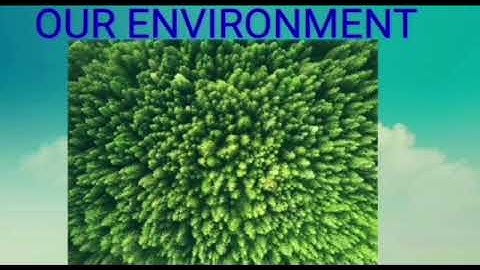 III STD SCIENCE -TERM III- OUR ENVIRONMENT