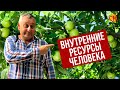 Наши ресурсы. Внутренние ресурсы человека. Психолог Николай Смирнов.