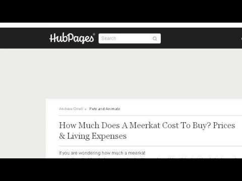 camera iphone 8 plus apk How-To Feed Meerkats