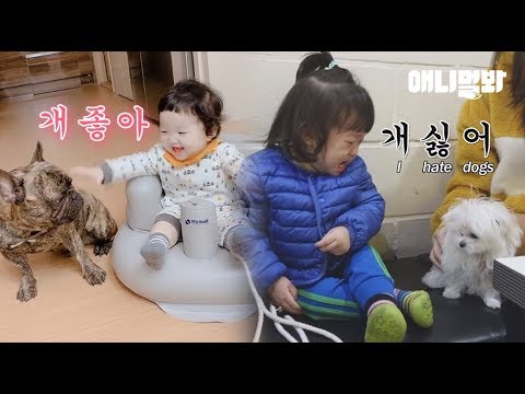 불독은 맞고 말티즈는 틀리다 l Why Has A <strong>Bulldog</strong> Become 15-Month-Old Baby Fave?