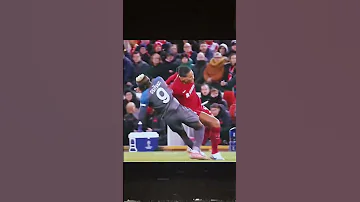Virgil Van Dijk And Victor Osimhen 