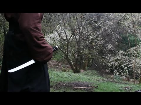 Vagabond vs Samurai