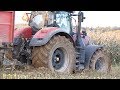 Iveco & Case IH Optum 300 stuck in mud / Morké siláže 2019 / New Holland FR920