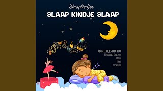 Video thumbnail of "Kinderliedjes met Ruth - Slaap Kindje Slaap (Piano)"