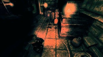 Amnesia - A Machine for Pigs - First met with a pig