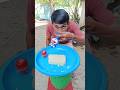 Llego el pavo #shorts #trending #funny #subscribe
