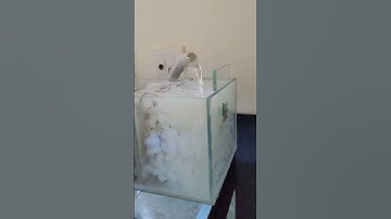 Sump filter with k1 filter media | Ceramic rings | Bioballs #cichlidaquarium #youtubeshorts #shorts