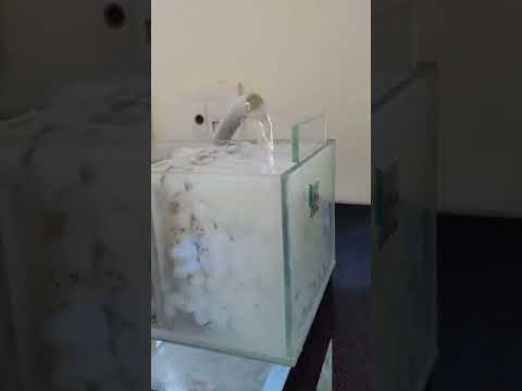 Sump filter with