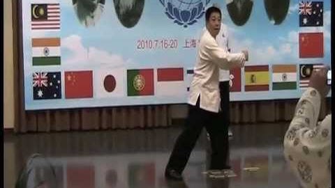 Fa Jin Form Intricacies with James Fu Qing Quan