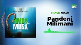 Kwaya Ya Mt. Anthony Wa Padua - Pandeni Milimani (Track No.09)