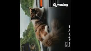 Sayang Jujurlah cover by 🌷za🌷