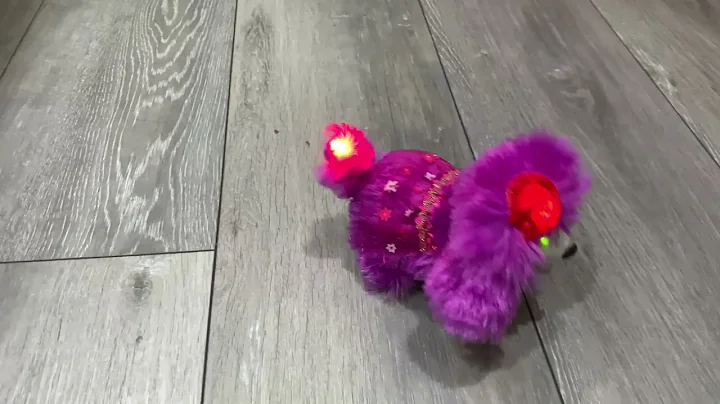 Purse Poodle