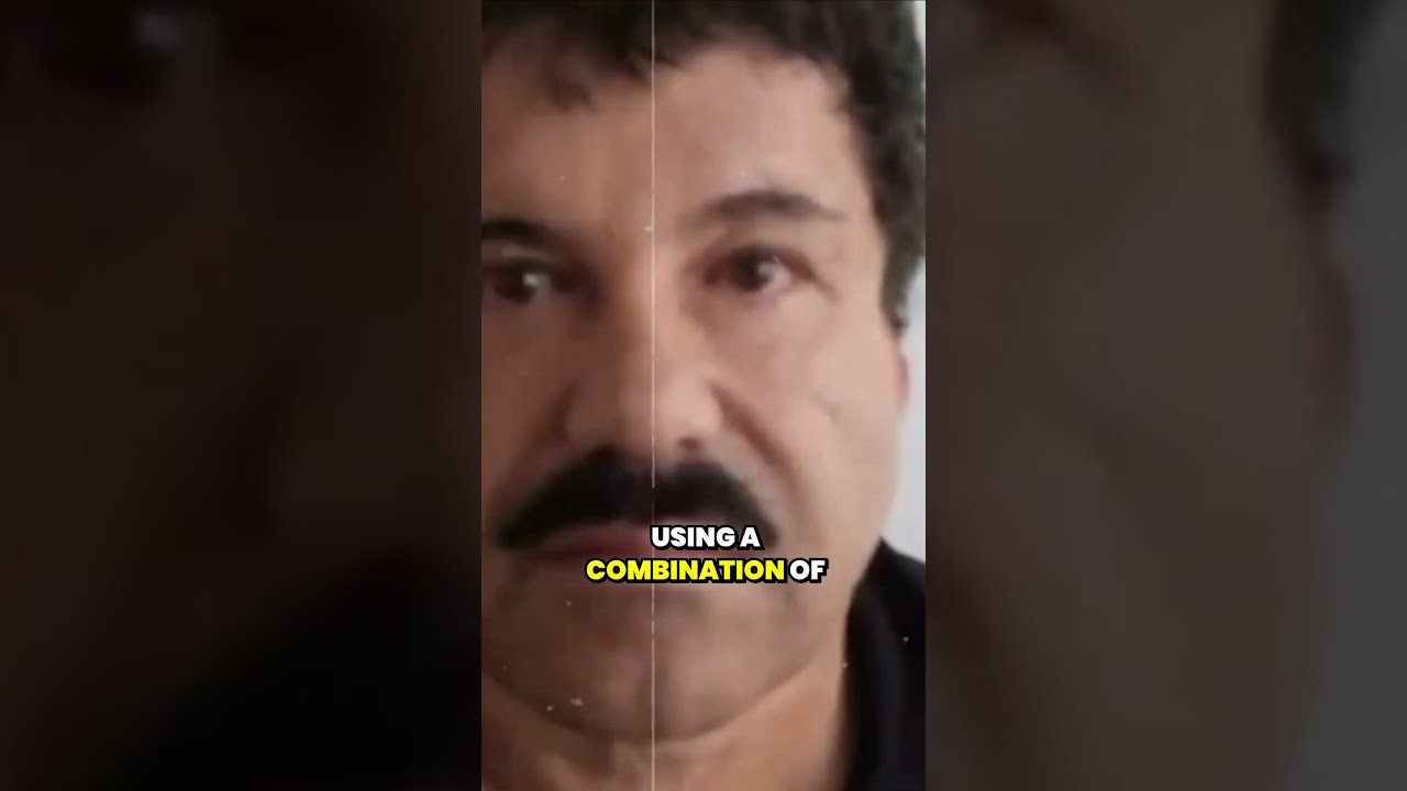 Inside The Sinaloa Cartel History And Operations CrimeAnalysis DrugCartels CriminalJustice