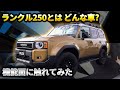 [ランクル250]人気車両の詳細を知る！やはり250は特別だ！