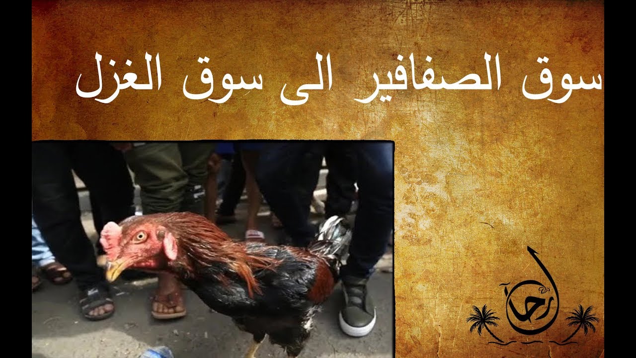 من اقدم اسواق بغداد سوق الصفافير الى سوق الغزل - رحال - الحلقة ١٨