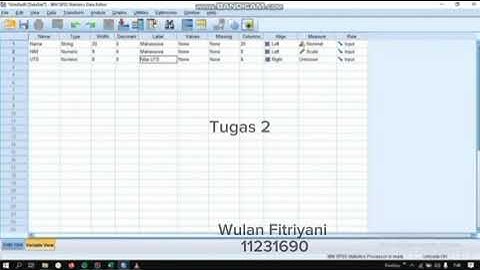 Tugas Aplikasi Komputer Statistik: Memasukan Data dengan SPSS