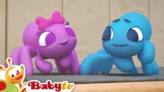 Pajączek na Podłodze | BabyTV Polski