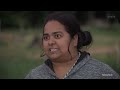 Researchers team up with locals to save NZ's only native land mammal from extinction | Newshub