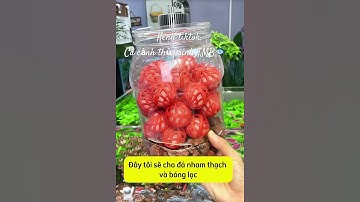 Hướng dẫn chế bộ lọc cho bể cá cực kì đơn giản!!!🥰