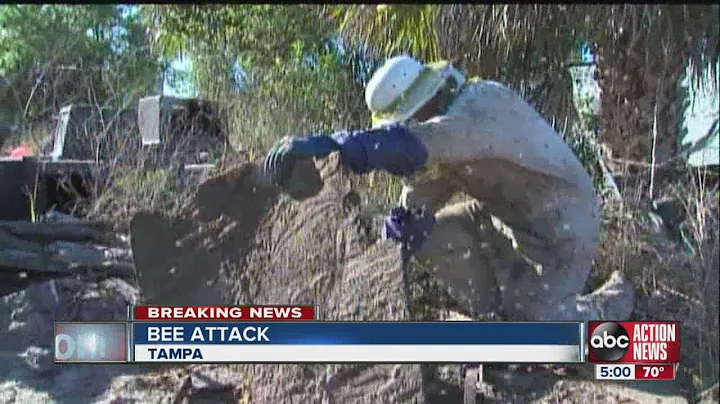 Two hospitalized after attack from a swarm of Africanized Killer Bees