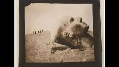 AUDIO IN|SIGHT: Ruth Thorne-Thomsen's Head with La...